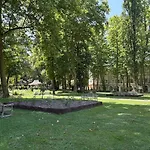 Hirondelles 3