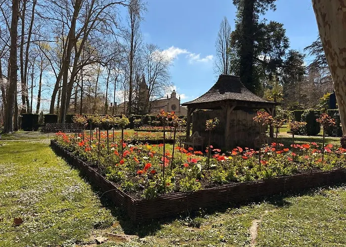 Hirondelles 3 Eugenie-les-Bains