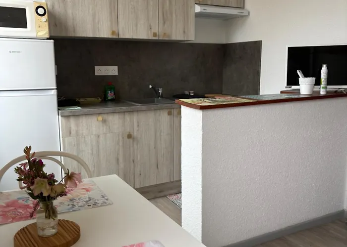 Appartement Hirondelles 3 *